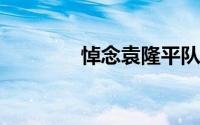 悼念袁隆平队伍排了几公里