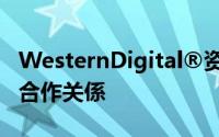 WesternDigital®资注Skyera　建立策略性合作关係