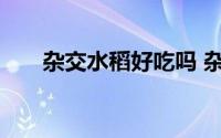 杂交水稻好吃吗 杂交水稻亩产多少斤