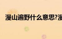 漫山遍野什么意思?漫山遍野典故出处介绍