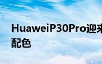 HuaweiP30Pro迎来镜面哑光双拼的蓝粉新配色