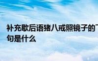 补充歇后语猪八戒照镜子的下一句 猪八戒照镜子歇后语下一句是什么