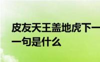 皮友天王盖地虎下一句是什么 天王盖地虎下一句是什么