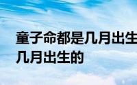 童子命都是几月出生的阴历阳历 童子命都是几月出生的