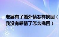 老婆有了婚外情怎样挽回（老婆有婚外情怎么挽回_老婆对我没有感情了怎么挽回）