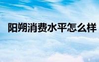 阳朔消费水平怎么样（阳朔消费水平高吗）