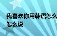 我喜欢你用韩语怎么说谐音 我喜欢你用韩语怎么说