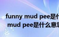 funny mud pee是什么意思中文翻译 funny mud pee是什么意思