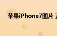 苹果iPhone7图片 蓝色版iPhone7曝光