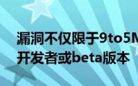 漏洞不仅限于9to5Mac指出的未发布的iOS开发者或beta版本