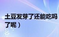 土豆发芽了还能吃吗（把芽去掉是不是就可以了呢）