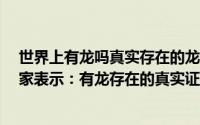 世界上有龙吗真实存在的龙有吗 世界上真有龙出现过吗 专家表示：有龙存在的真实证据