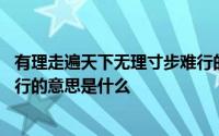 有理走遍天下无理寸步难行的意思 有理走遍天下无理寸步难行的意思是什么