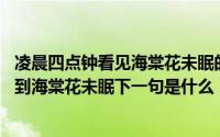 凌晨四点钟看见海棠花未眠的下一句是什么 凌晨四点钟我看到海棠花未眠下一句是什么