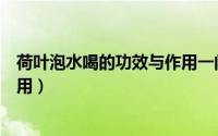 荷叶泡水喝的功效与作用一问一答（荷叶泡水喝的功效与作用）