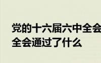 党的十六届六中全会通过了 党的十六届六中全会通过了什么