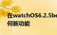 在watchOS6.2.5beta测试期间没有发现任何新功能