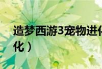 造梦西游3宠物进化等级（造梦西游3宠物进化）