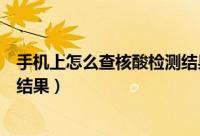 手机上怎么查核酸检测结果云南省（手机上怎么查核酸检测结果）