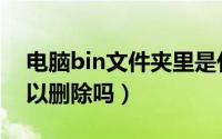 电脑bin文件夹里是什么文件（bin文件夹可以删除吗）