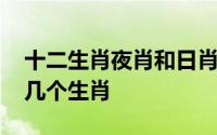 十二生肖夜肖和日肖分别是哪几个 夜肖是哪几个生肖