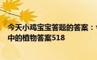 今天小鸡宝宝答题的答案：今日答案岁寒三友图岁寒三友图中的植物答案518