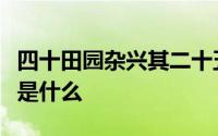 四十田园杂兴其二十五宋范成大的古诗的意思是什么