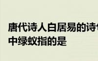 唐代诗人白居易的诗句绿蚁新醅酒红泥小火炉中绿蚁指的是