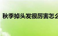 秋季掉头发很厉害怎么办 教你摆脱掉发烦恼