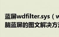 蓝屏wdfilter.sys（wimfilter.sys文件导致电脑蓝屏的图文解决方法）