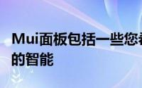 Mui面板包括一些您希望在智能显示器中显示的智能