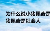 为什么说小猪佩奇是我们家的狗 为什么说小猪佩奇是社会人