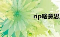 rip啥意思 rip什么梗