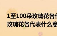 1至100朵玫瑰花各代表什么意思 1至100朵玫瑰花各代表什么意思