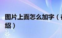 图片上面怎么加字（在图片上添加文字方法介绍）