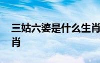 三姑六婆是什么生肖动物 三姑六婆是什么生肖