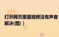 打开网页里面视频没有声音（打开网页看视频没有声音怎么解决(图)）