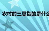 农村的三夏指的是什么意思 三夏指的是什么