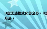 U盘无法格式化怎么办（U盘提示被写保护无法格式化解决方法）