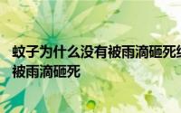 蚊子为什么没有被雨滴砸死练习题 为什么下雨天时蚊子不会被雨滴砸死