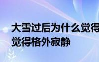 大雪过后为什么觉得寂静 大雪过后为什么会觉得格外寂静