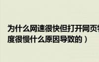 为什么网速很快但打开网页特别慢（网速很快但打开网页速度很慢什么原因导致的）