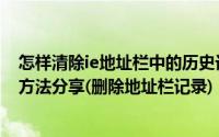 怎样清除ie地址栏中的历史记录（清除ie地址栏记录的二种方法分享(删除地址栏记录)）