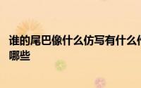 谁的尾巴像什么仿写有什么作用 谁的尾巴像什么仿写句子有哪些