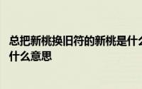 总把新桃换旧符的新桃是什么东西 总把新桃换旧符的新桃是什么意思