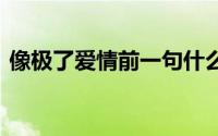 像极了爱情前一句什么梗 像极了爱情什么梗