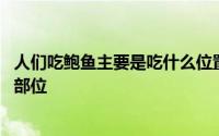 人们吃鲍鱼主要是吃什么位置 人们吃鲍鱼主要是吃它的什么部位