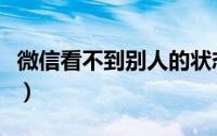 微信看不到别人的状态（微信看别人状态教程）