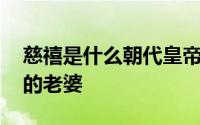 慈禧是什么朝代皇帝的老婆 慈禧是哪个皇帝的老婆