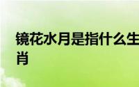 镜花水月是指什么生肖 镜花水月是指什么生肖